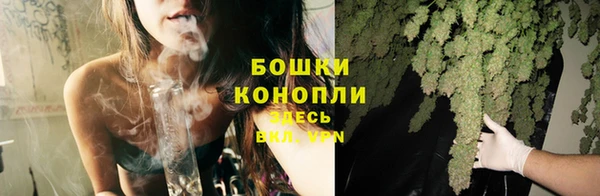винт Вяземский