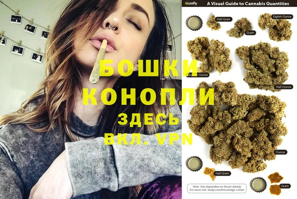 сатива Вязьма