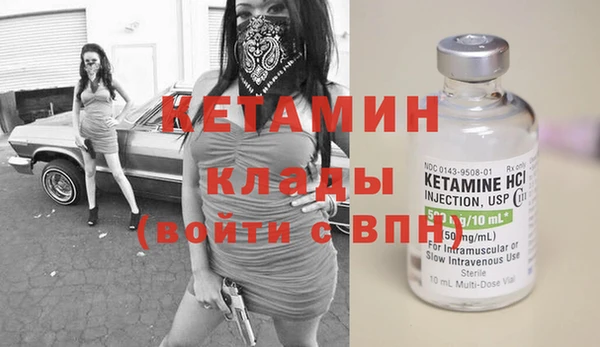 сатива Вязьма