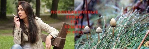 ПСИЛОЦИБИНОВЫЕ ГРИБЫ Вязники