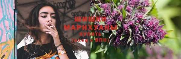 сатива Вязьма