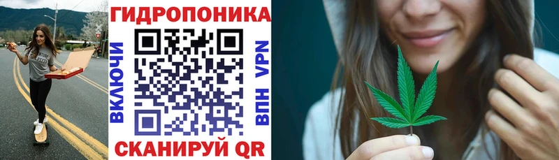 площадка какой сайт  где можно купить наркотик  Зеленоградск  МАРИХУАНА OG Kush 